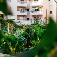 UrbaBio(c)Elmerjack.com ©