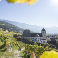 Brixen Wein, Herbst (c) TVB, Alex Filz Brixen © TVB, Alex Filz